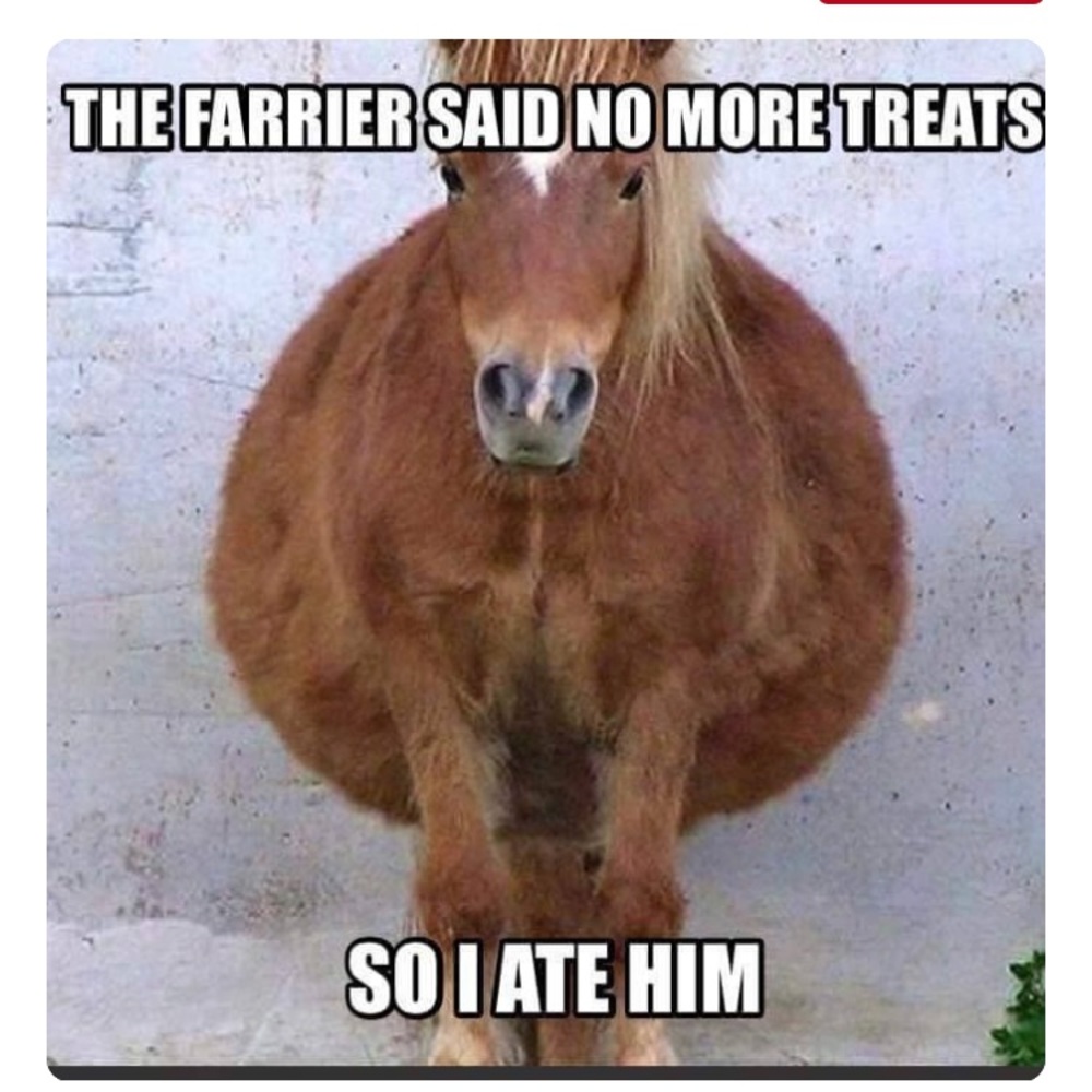 Fun